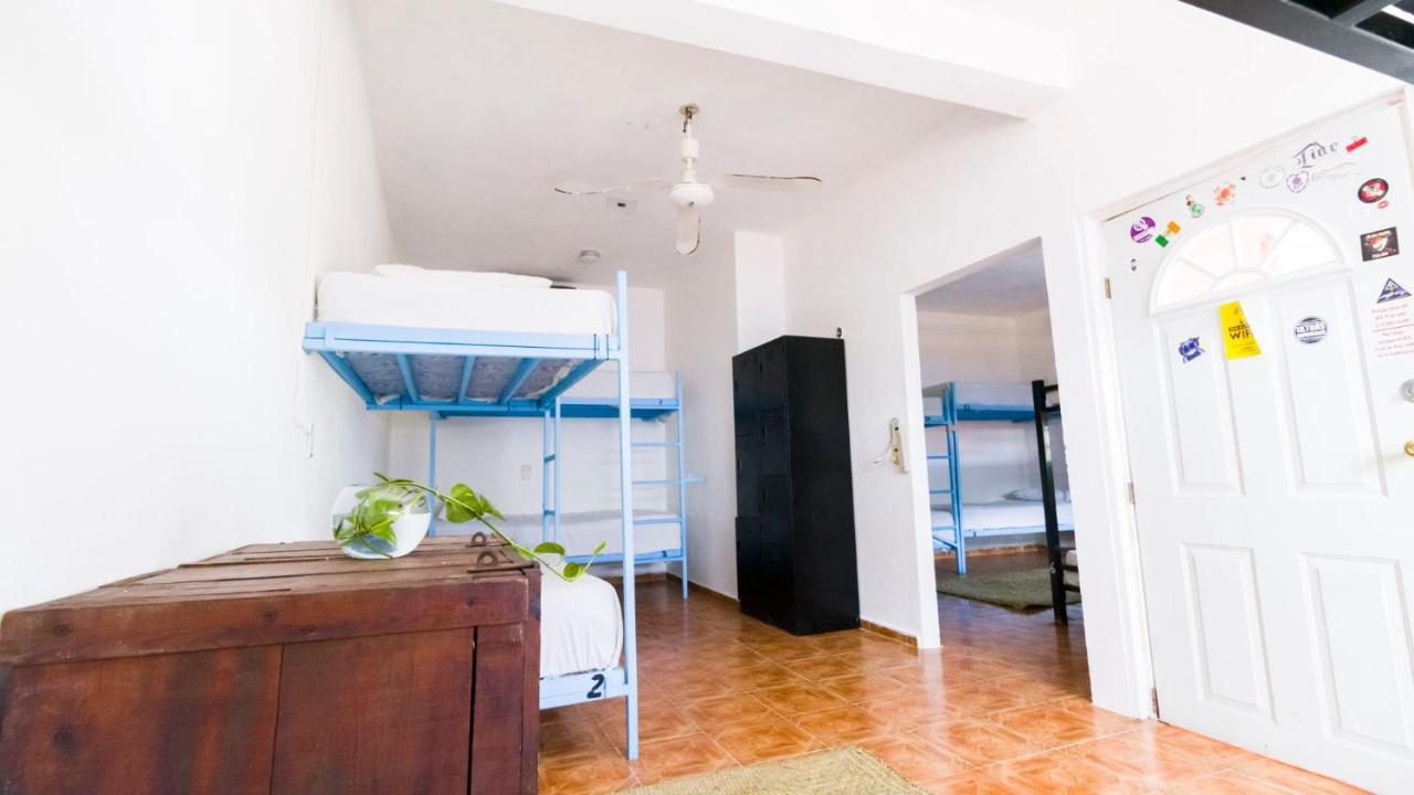 Weary Traveler Hostel Tulum Habitación foto